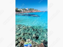 Eventi, Fiere, Sagre - Il Girotonno - Carloforte