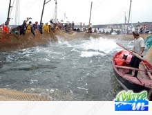 Eventi, Fiere, Sagre - Il Girotonno - Carloforte