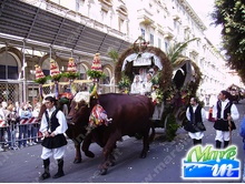 Eventi, Fiere, Sagre - Sant'Efisio - Cagliari 1-4 maggio