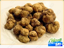 Eventi, Fiere, Sagre - Fiera Internazionale Tartufo Bianco d'Alba