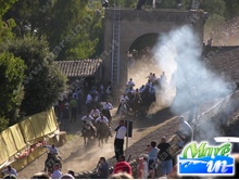 Eventi, Fiere, Sagre - Ardia di Sedilo 6-7 luglio