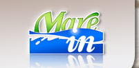 Homepage